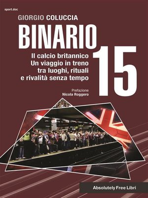 cover image of Binario 15